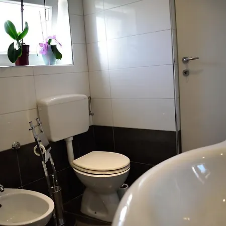 Aurelia Apartment Liznjan